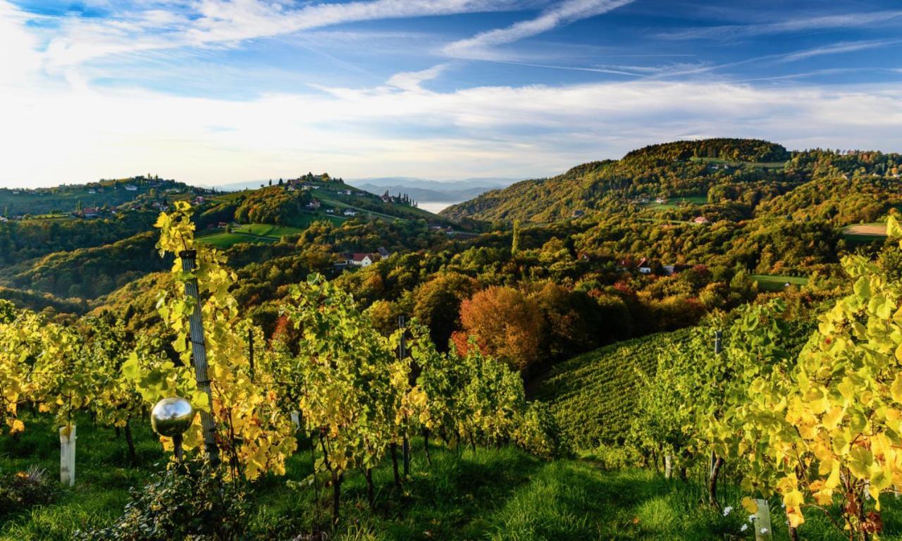 Vila Kellerstoeckl Goigner Kitzeck im Sausal Exteriér fotografie